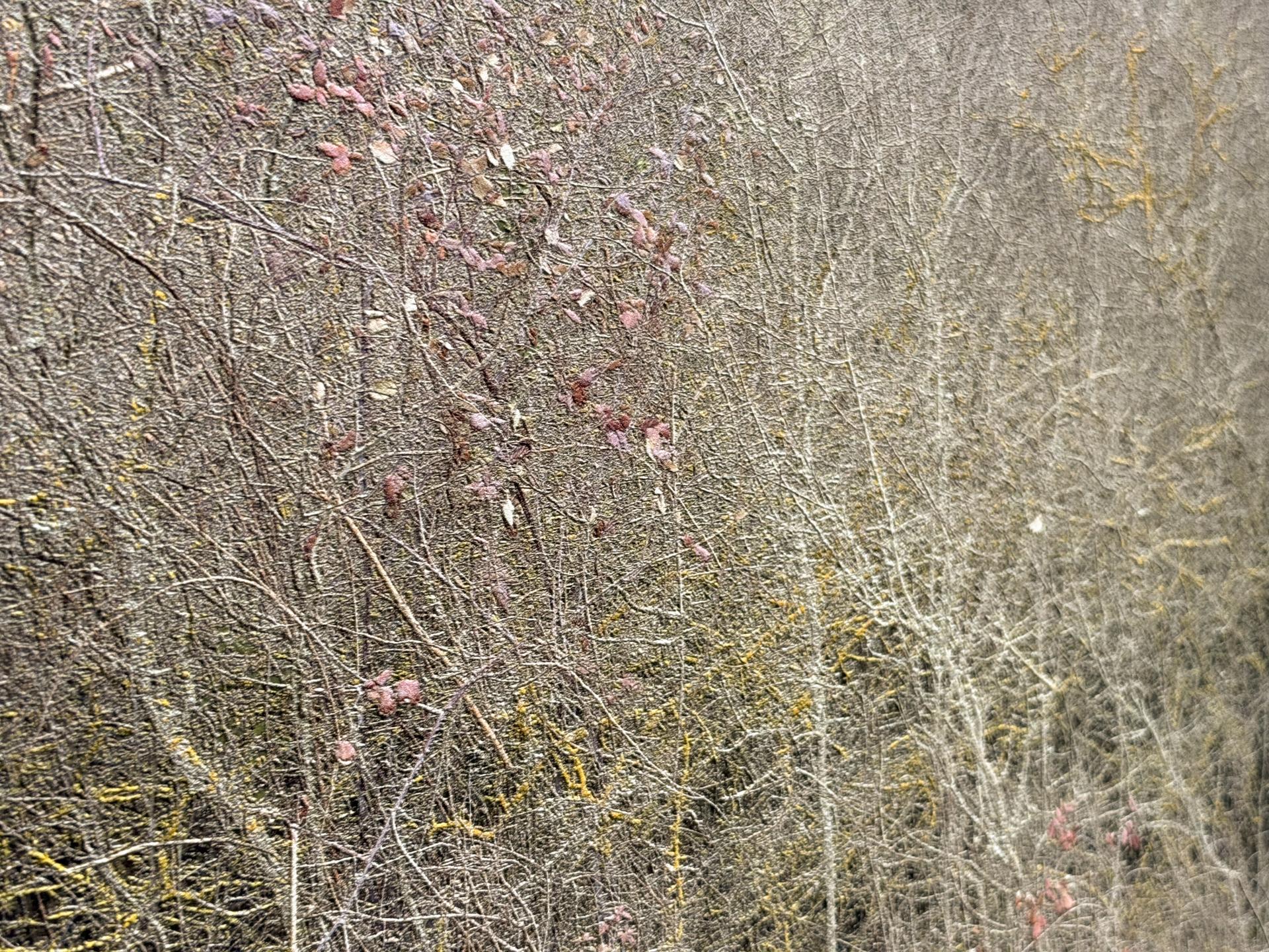 Stampa Fotografica a Rilievo Fine Art